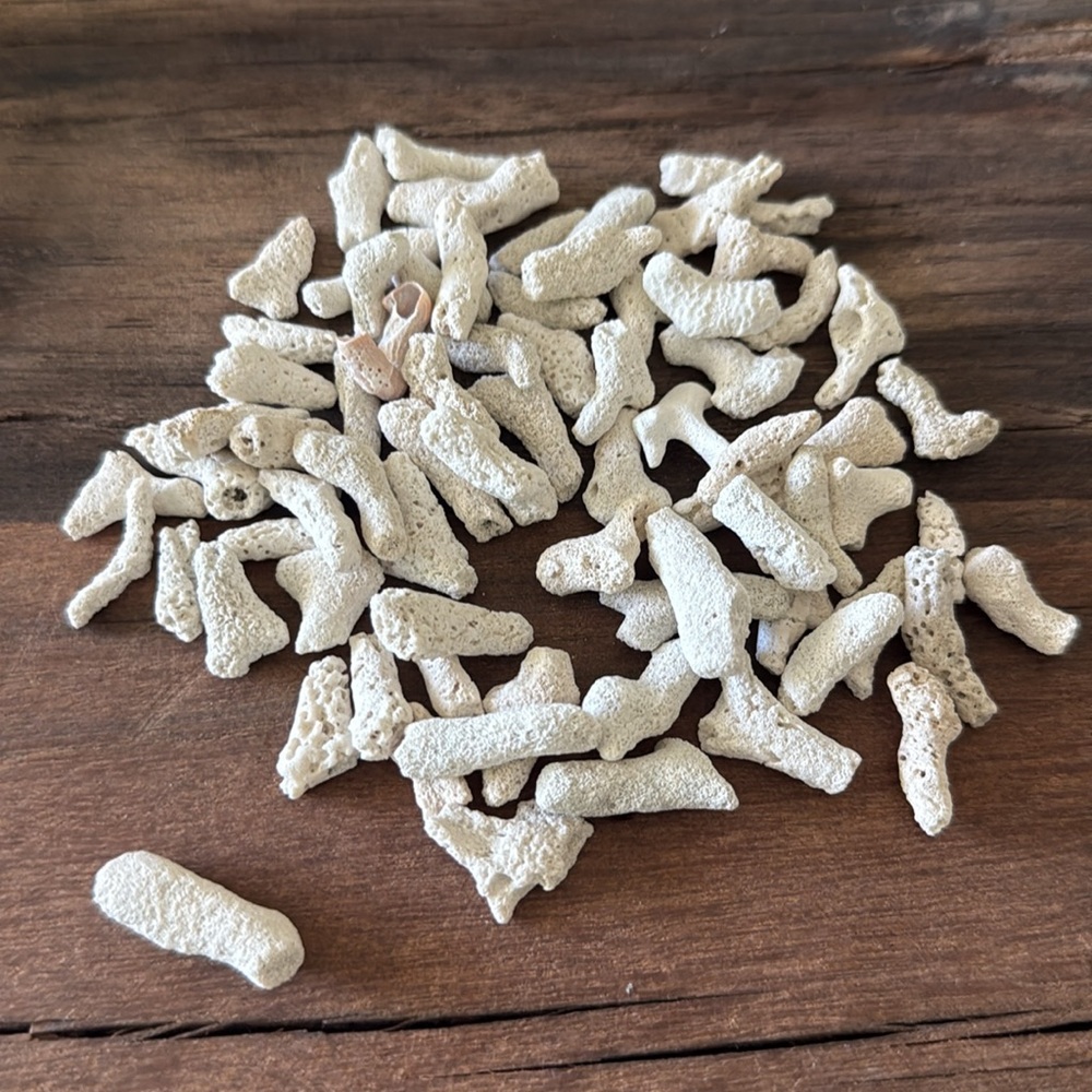 30 Pieces of coral. Each piece ranges in size from 1/2” to 1”.